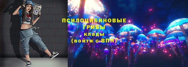 МДМА Богданович