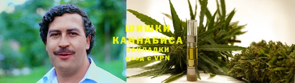 дмт Богородицк