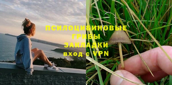 дмт Богородицк