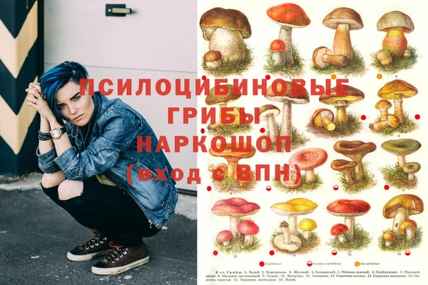 дмт Богородицк