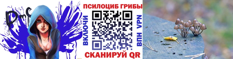 Галлюциногенные грибы прущие грибы  Купить закладки  Удомля 